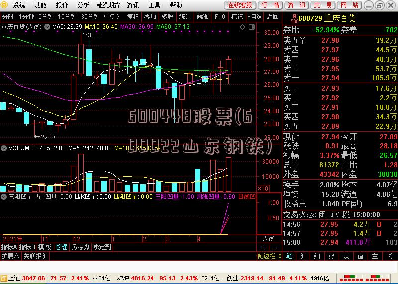 600448股票(600022山东钢铁)