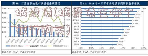 城投债(城投债在哪个银行购买)