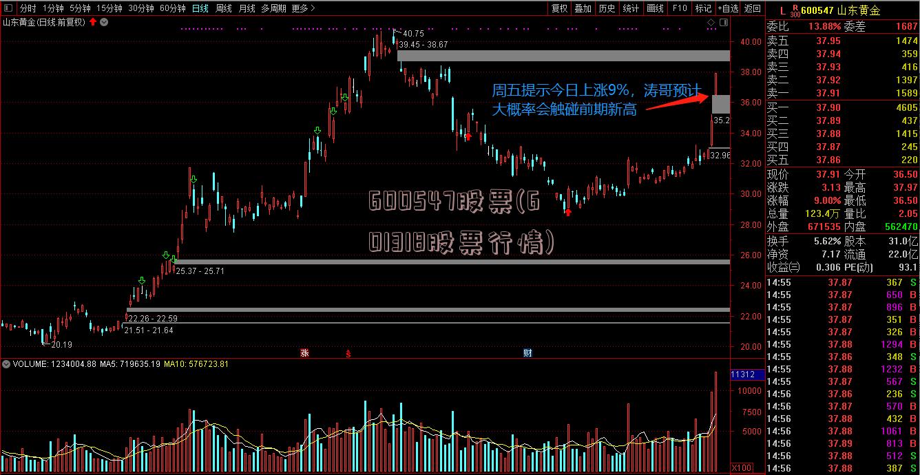 600547股票(601318股票行情)