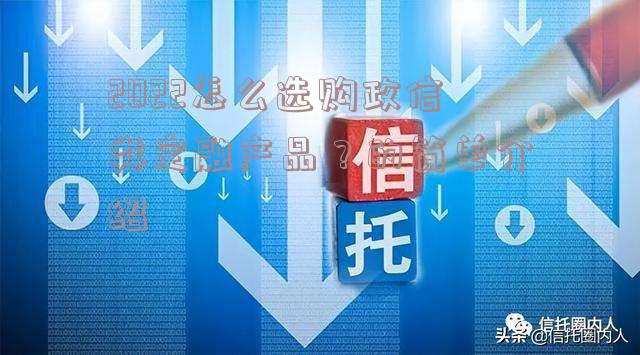 2022怎么选购政信类定融产品？的简单介绍