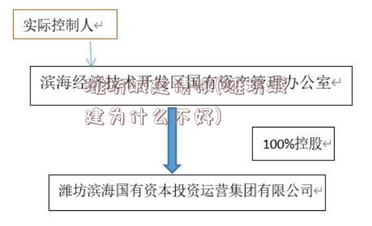 潍坊城建债权(潍坊城建为什么不好)