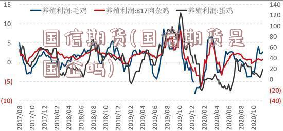 国信期货(国信期货是国企吗)