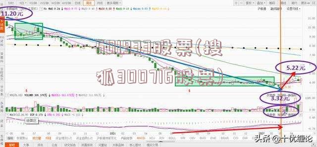 601933股票(搜狐300716股票)