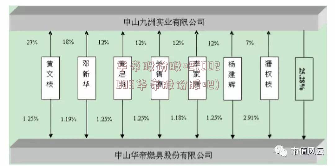 华帝股份股吧(002035华帝股份股吧)