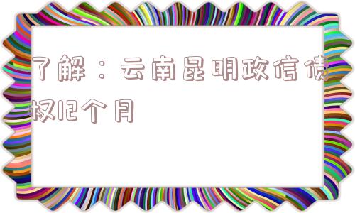 了解：云南昆明政信债权12个月