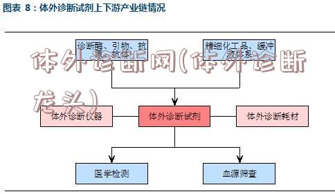 体外诊断网(体外诊断龙头)