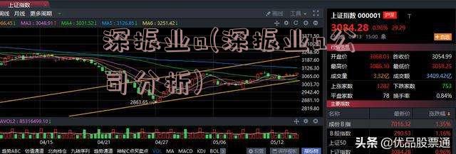 深振业a(深振业a公司分析)