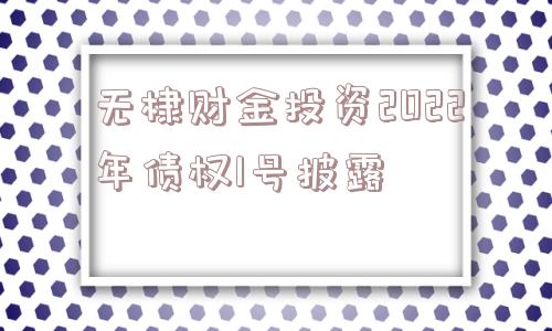 无棣财金投资2022年债权1号披露