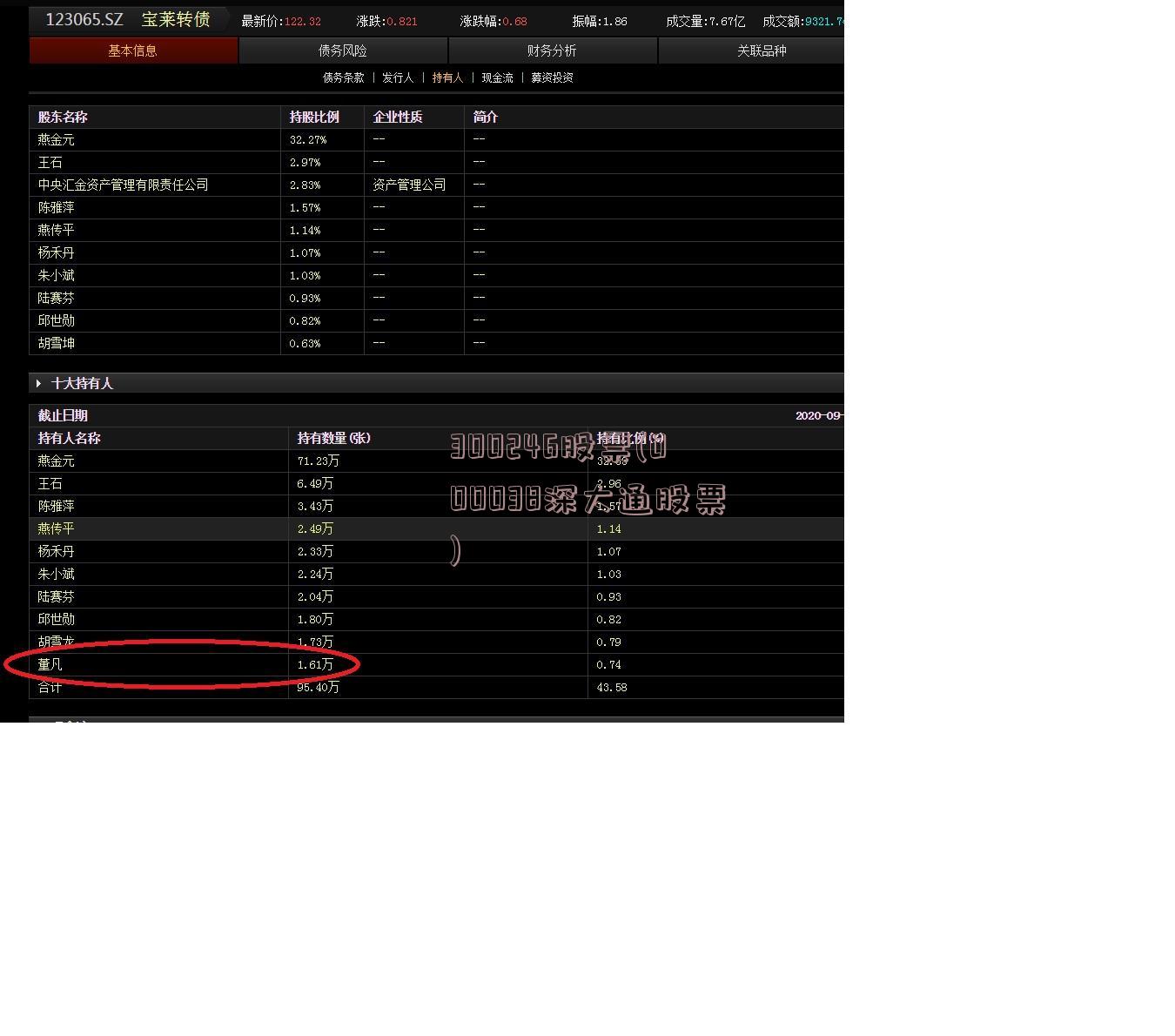 300246股票(000038深大通股票)