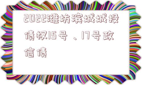 2022潍坊滨城城投债权15号、17号政信债