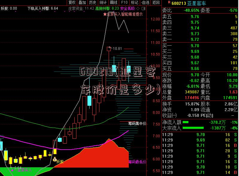 600213(亚星客车股价是多少)