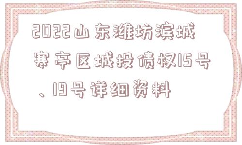 2022山东潍坊滨城寒亭区城投债权15号、19号详细资料