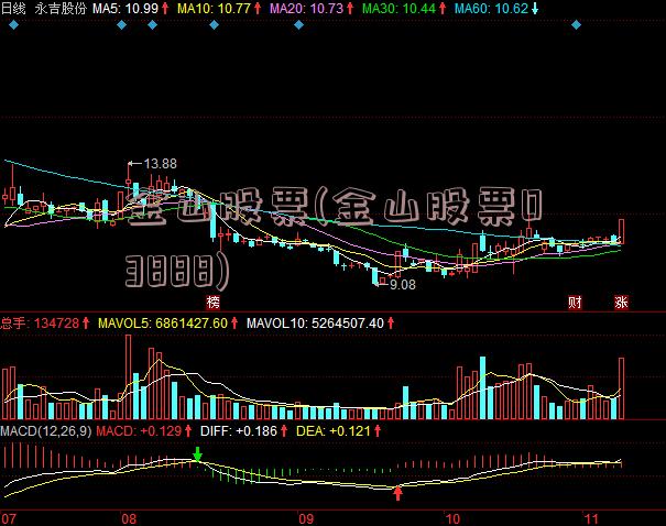 金山股票(金山股票03888)