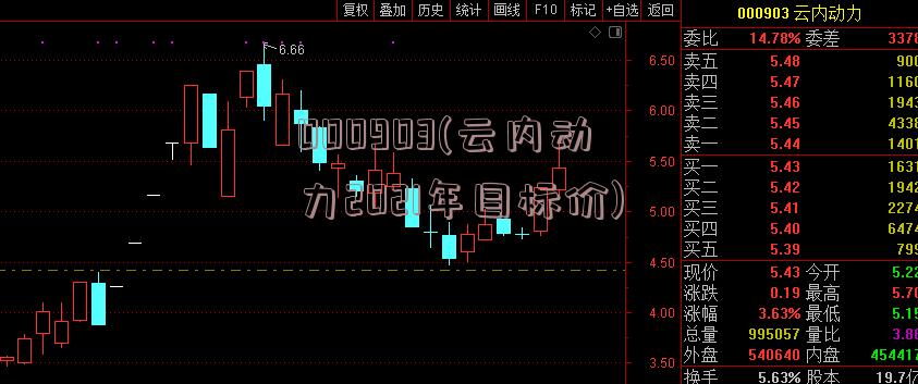 000903(云内动力2021年目标价)