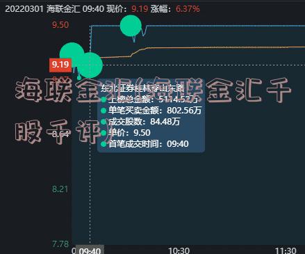海联金汇(海联金汇千股千评)