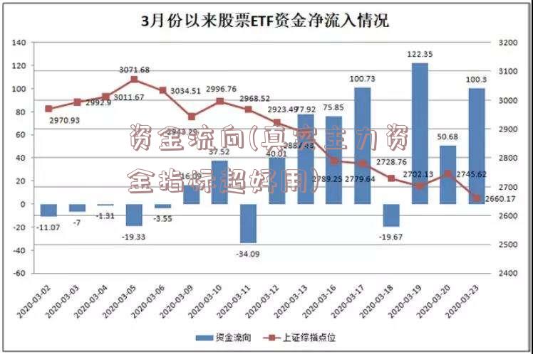 资金流向(真实主力资金指标超好用)