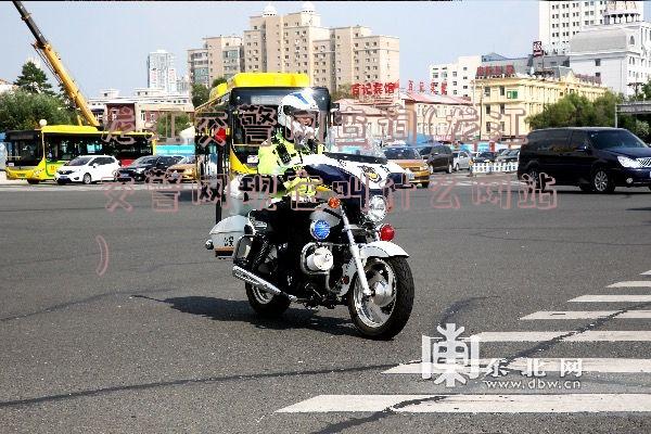 龙江交警网查询(龙江交警网现在叫什么网站)