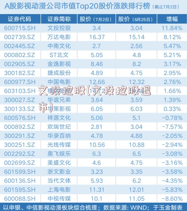 文投控股(文投控股退市)