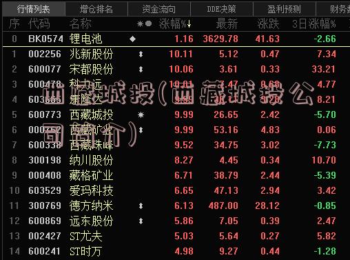 西藏城投(西藏城投公司简介)