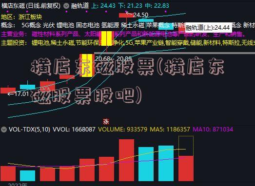 横店东磁股票(横店东磁股票股吧)