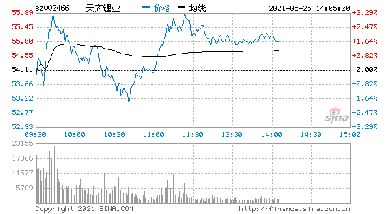 002466股票(002497雅化集团)