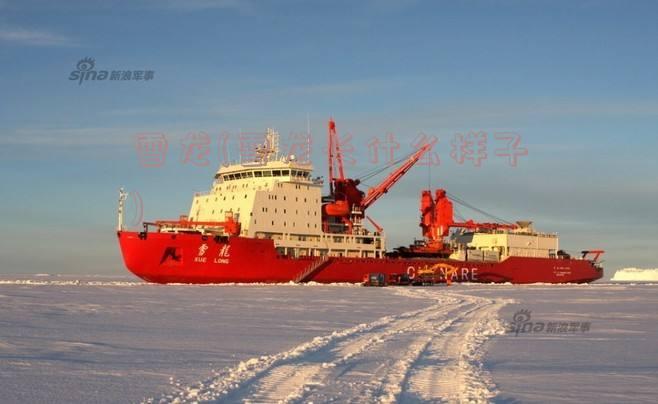 雪龙(雪龙长什么样子)