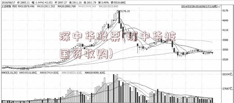 深中华股票(深中华被国资收购)