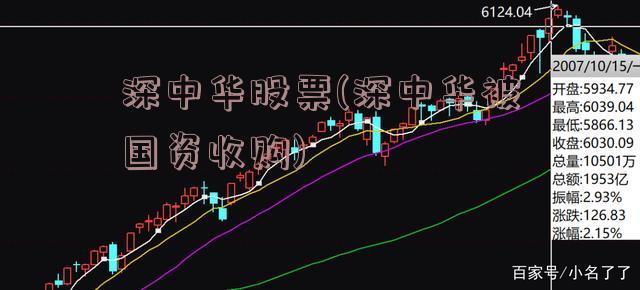 深中华股票(深中华被国资收购)