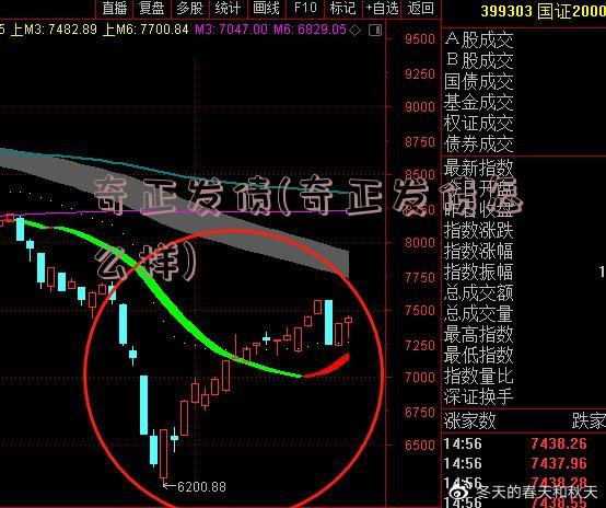 奇正发债(奇正发债怎么样)