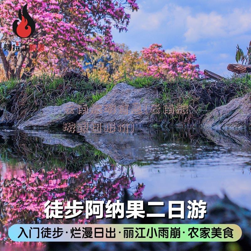 云南旅游信息(云南旅游跟团报价)