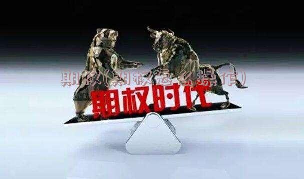 期权(期权怎么操作)