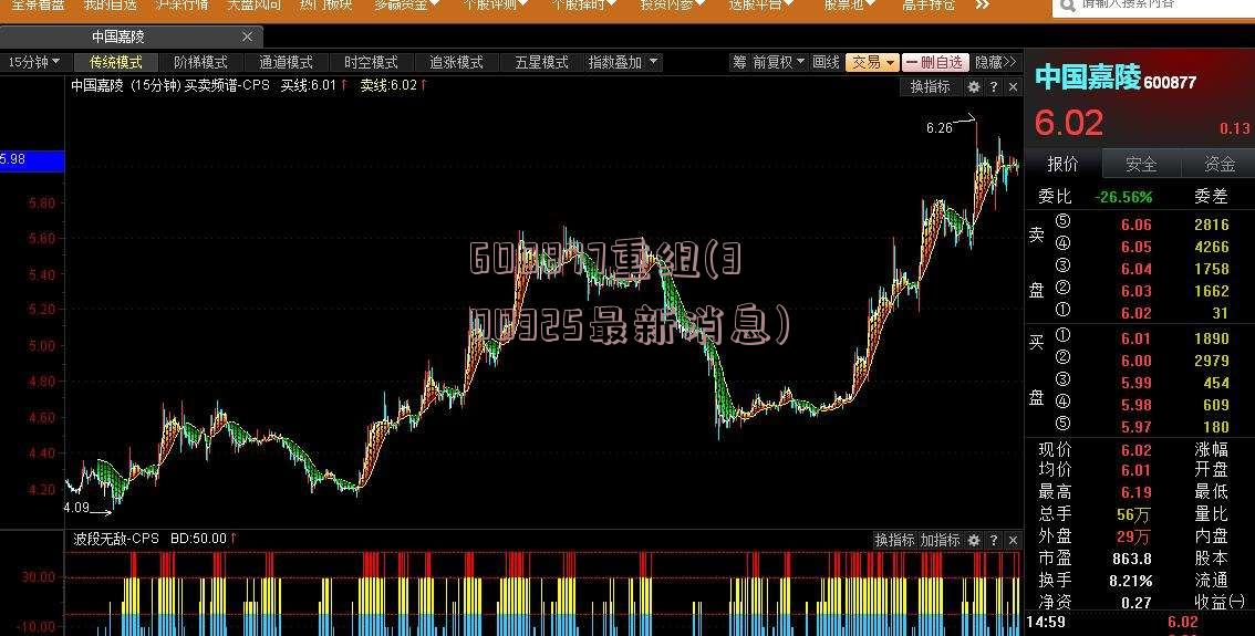 600877重组(300325最新消息)