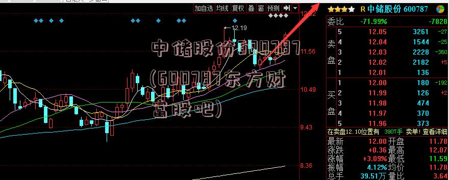 中储股份600787(600787东方财富股吧)