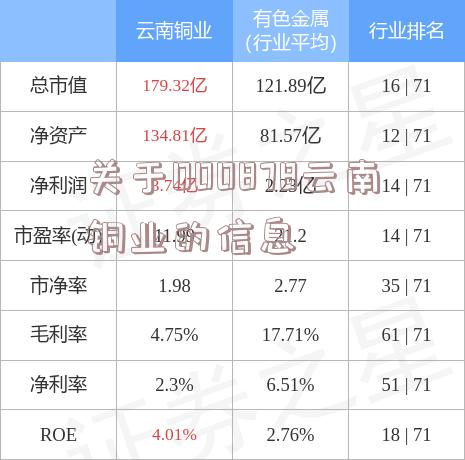 关于000878云南铜业的信息