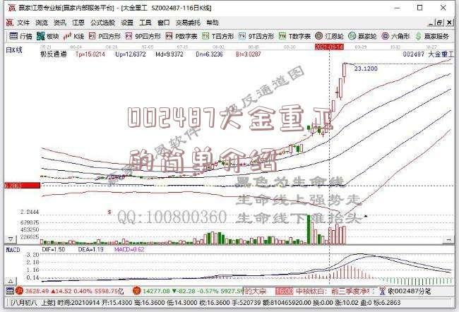 002487大金重工的简单介绍