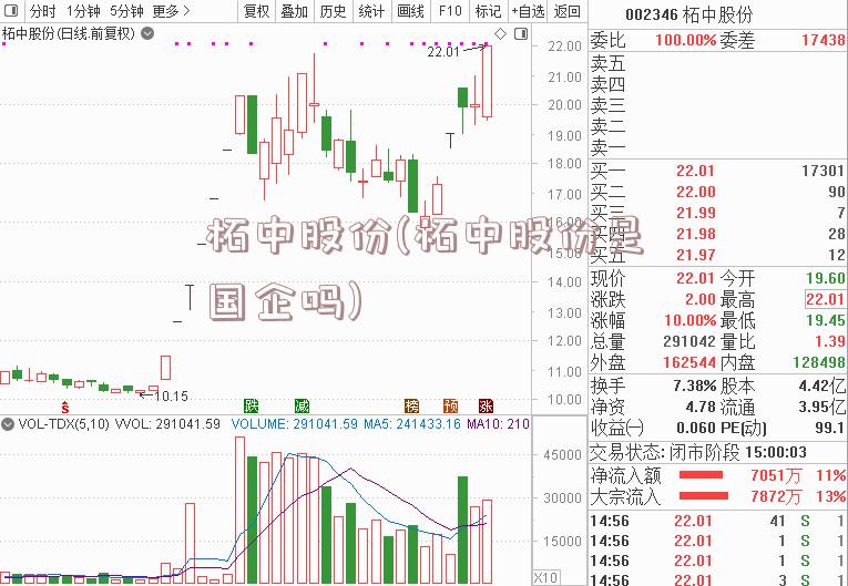 柘中股份(柘中股份是国企吗)