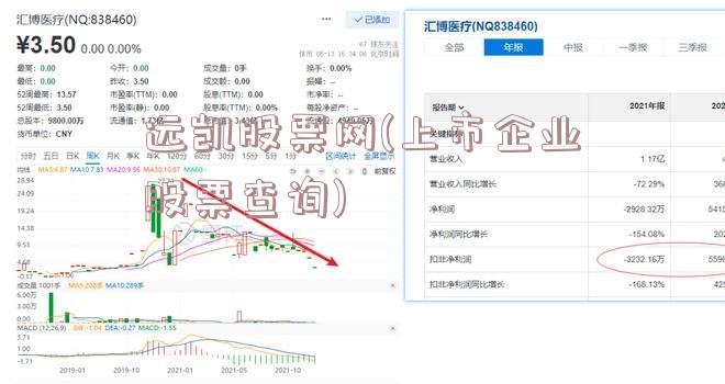 远凯股票网(上市企业股票查询)