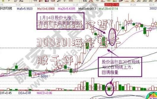 300201海伦哲(300201海伦哲千股千评)