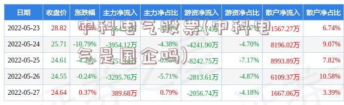 中科电气股票(中科电气是国企吗)