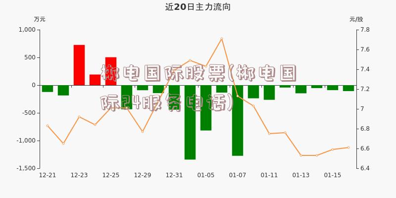 郴电国际股票(郴电国际24服务电话)