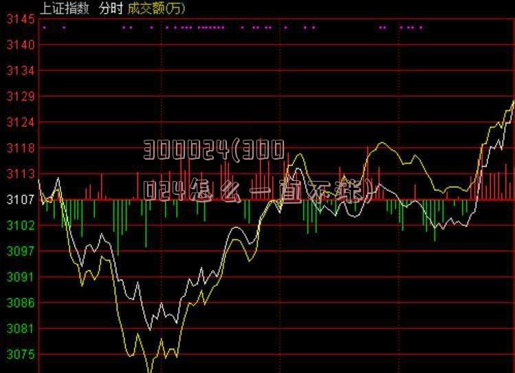 300024(300024怎么一直不涨)