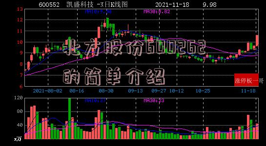 北方股份600262的简单介绍