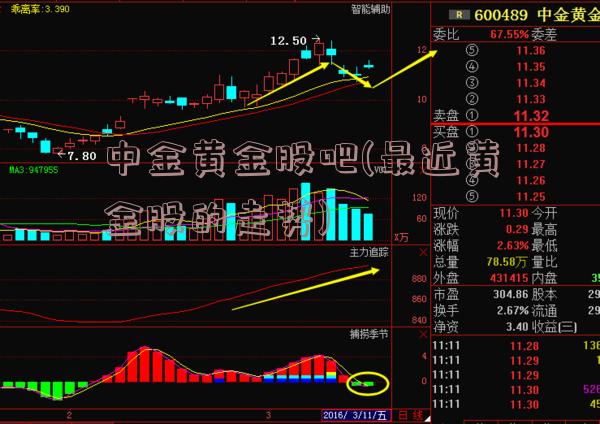 中金黄金股吧(最近黄金股的走势)