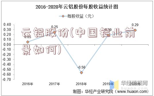 云铝股份(中国铝业前景如何)