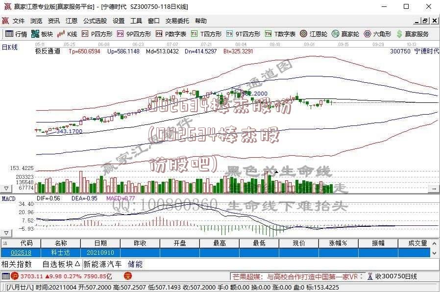 002634棒杰股份(002634棒杰股份股吧)