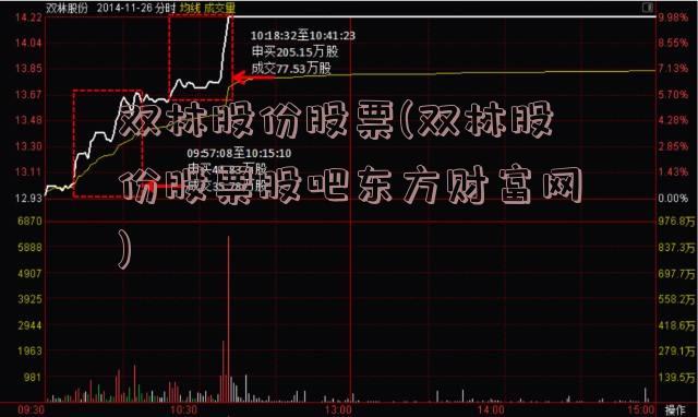 双林股份股票(双林股份股票股吧东方财富网)