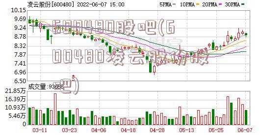 600480股吧(600480凌云股份股吧)