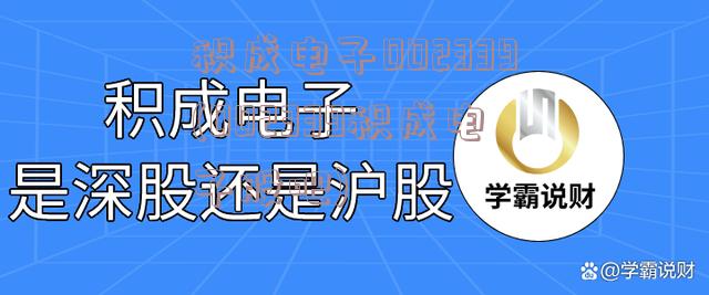 积成电子002339(002339积成电子股吧)