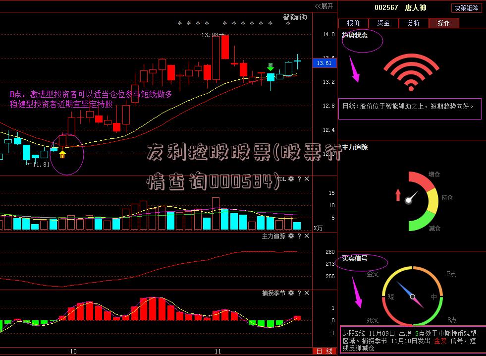 友利控股股票(股票行情查询000584)