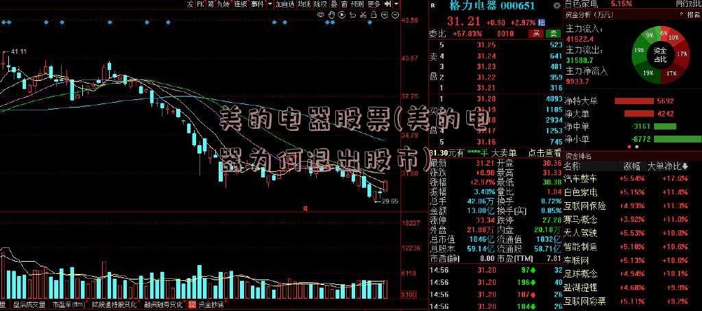 美的电器股票(美的电器为何退出股市)